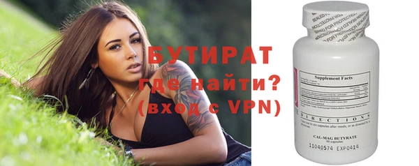 гидра Каменка