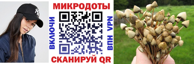 Псилоцибиновые грибы Cubensis  купить  сайты  Красноуральск 